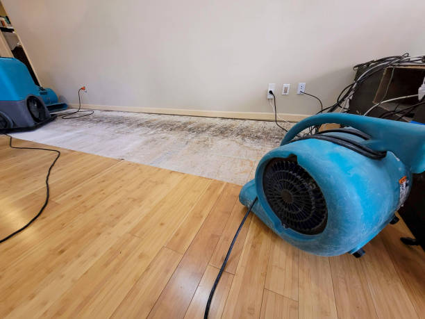 Professional Sewage Cleanup technician working in Cathlamet, WA